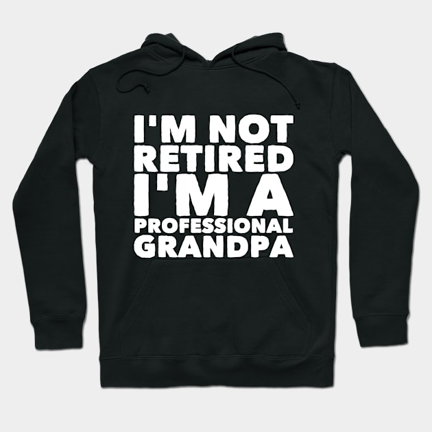 I'm not retired I'm a professional grandpa Hoodie by captainmood